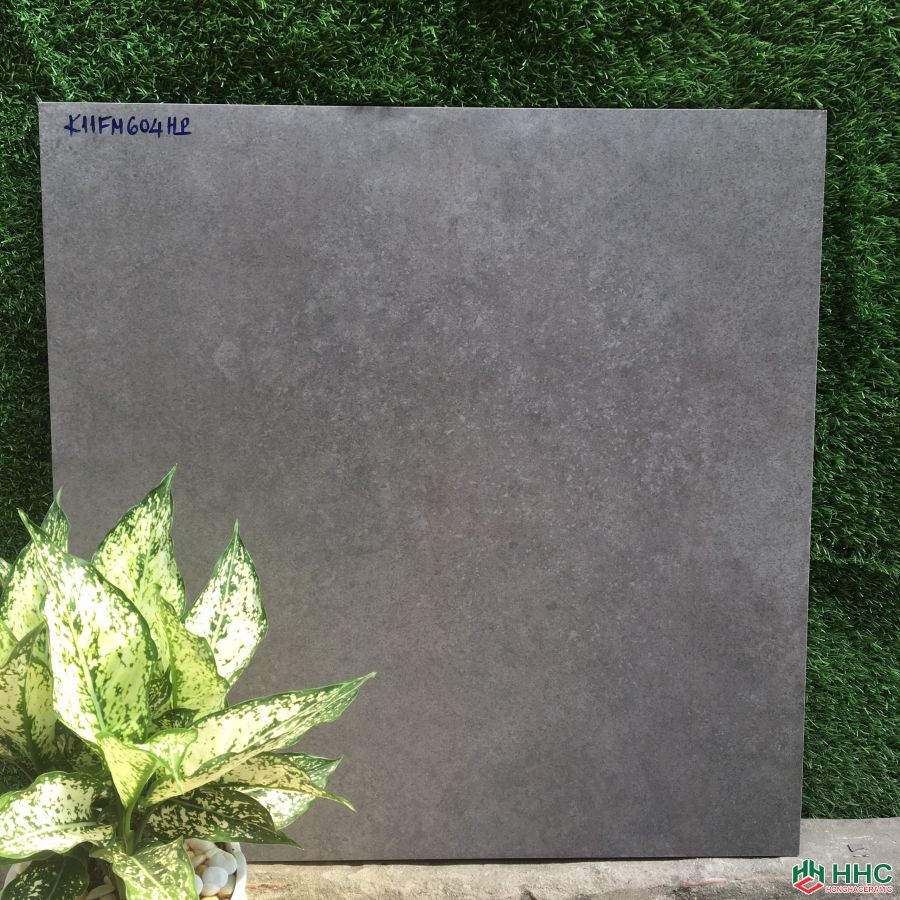 GẠCH LÁT NỀN 60X60  604